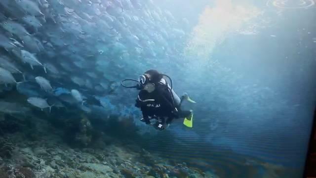 为现代化新青海建设贡献政协力量